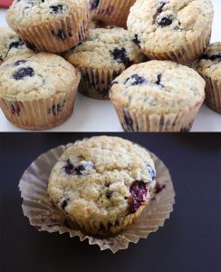 blueberry muffin